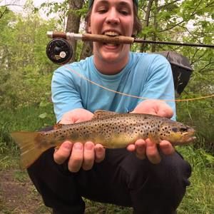 Meet your Posher, Spencer